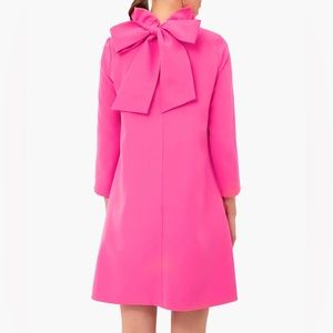 Tuckernuck pink dress. With bow tied in the back.